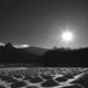 月夜の雪畑